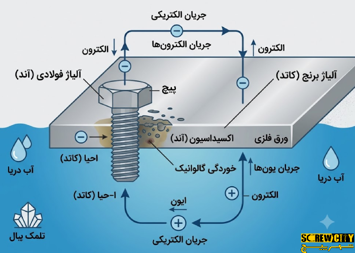 اینفوگرافیک نحوه رخداد خوردگی گالوانیک بین فلزات مختلف در محیط دریایی
